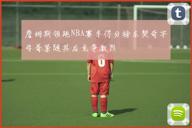 詹姆斯领跑NBA赛季得分榜东契奇字母哥紧随其后竞争激烈