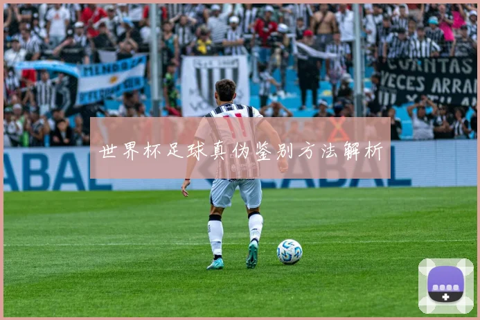 世界杯足球真伪鉴别方法解析