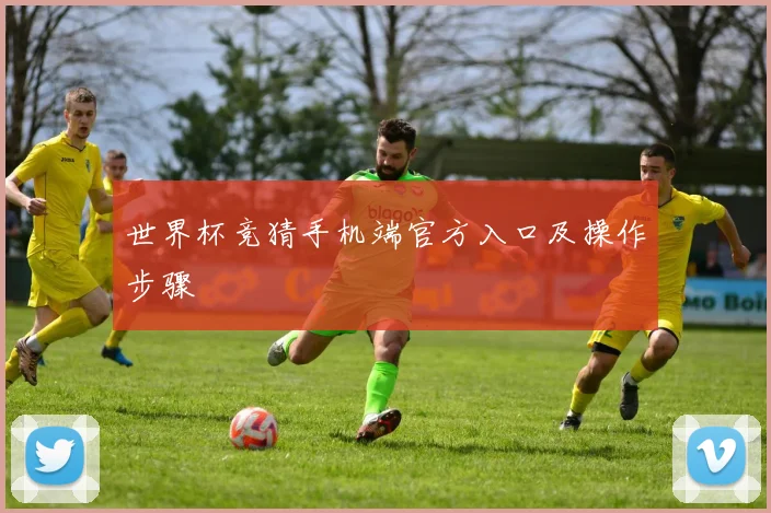 世界杯竞猜手机端官方入口及操作步骤