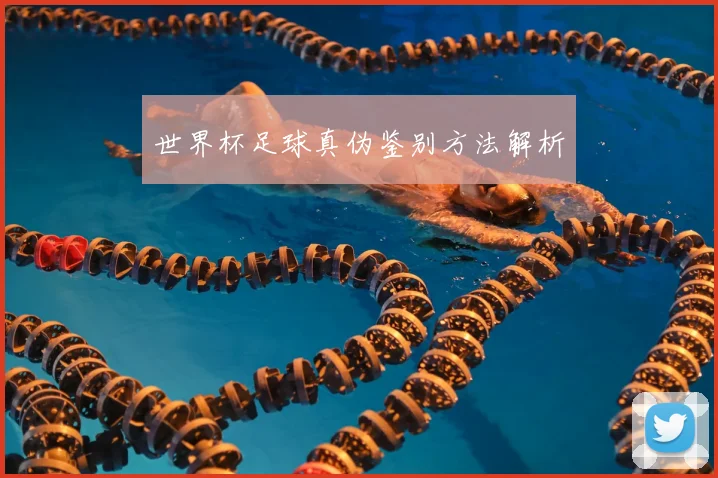世界杯足球真伪鉴别方法解析