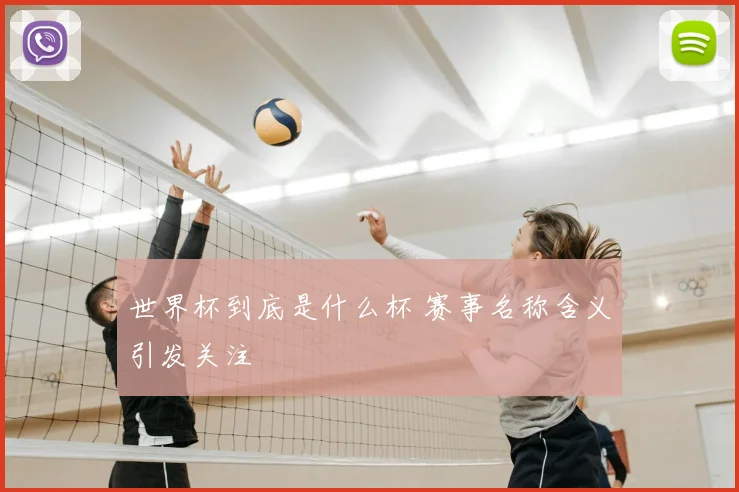 世界杯到底是什么杯 赛事名称含义引发关注