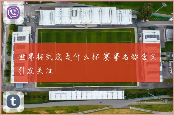 世界杯到底是什么杯 赛事名称含义引发关注